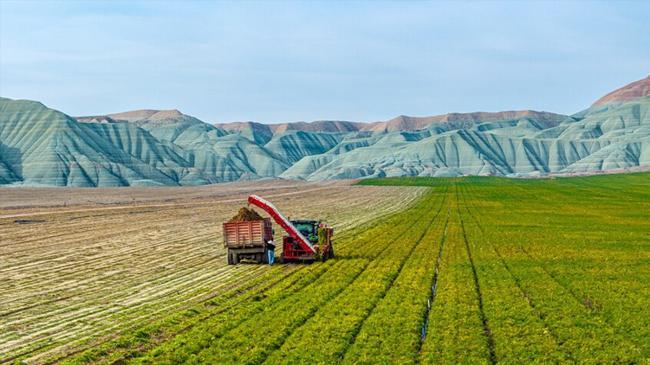Tarlalar birleşiyor: 5 ilçede zorunlu toplulaştırma kararı | Genel Haberler
