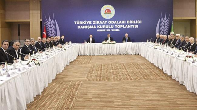 ‘Tarımsal üretim bu sene toparlanacak’ | Ekonomi Haberleri