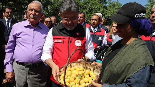 Türkiye kayısı üretiminde dünyada zirvede | Politika Haberleri