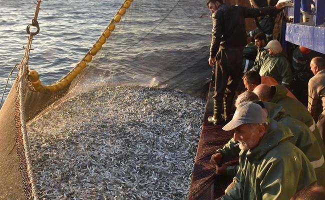 Centre bans use of LED lights for fishing in coastal areas
