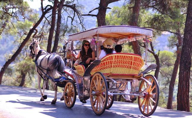 In Istanbul's Princes' Islands, over 500 carriage horses die in a year due  to abuse, heat, overloaded carriages and exhaustion – Straight from the  Horse's Heart