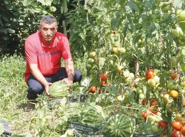 Project launched to propagate endangered seeds