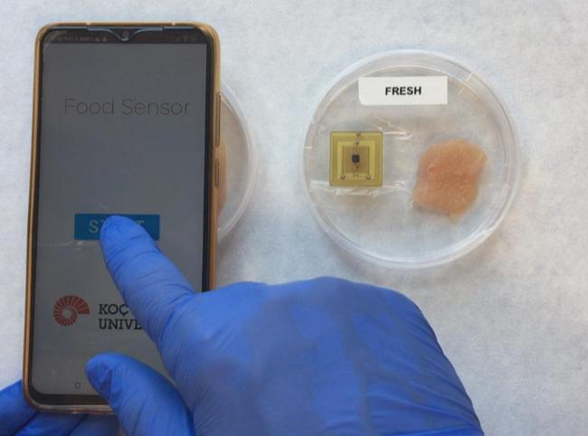 Scientists develop sensor to detect spoilage