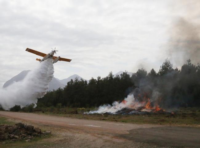 Türkiye prepared to combat wildfires ahead of summer