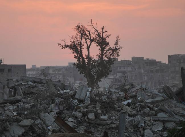 Turkish arrest warrants for Israeli officials ‘victory for justice’: Palestine