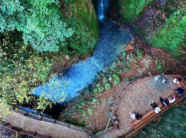 Ecotourism flourishes in forests, driving rural development