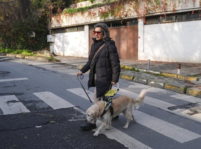 Guide dogs strengthen mobility, safety for Türkiye’s visually impaired
