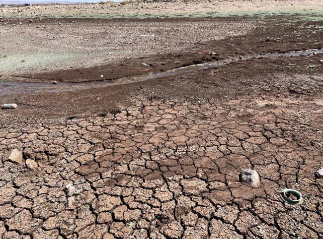 Türkiye loses 1 centimeter of soil every 16 years, expert warns