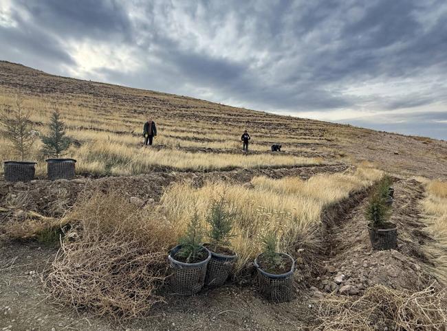 Afforestation drive launched in Iğdır to tackle Türkiye’s worst air pollution