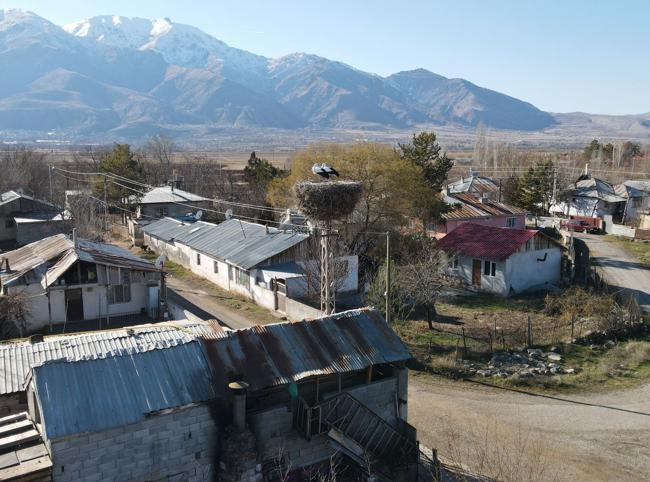 Storks of Binkoç village to spend another winter in their nests
