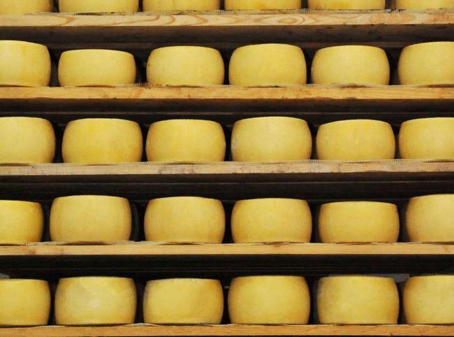 A cheese story stretching from Urfa to America