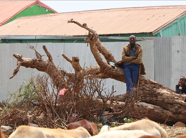 Somalia denounces Israeli recognition of Somaliland