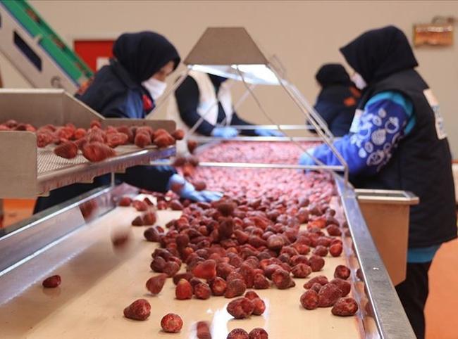 Frozen produce sector aims for $200 mln in exports in 2026