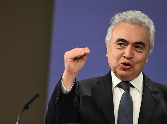 COP31 a key opportunity for Türkiye, intl climate agenda, IEA chief says