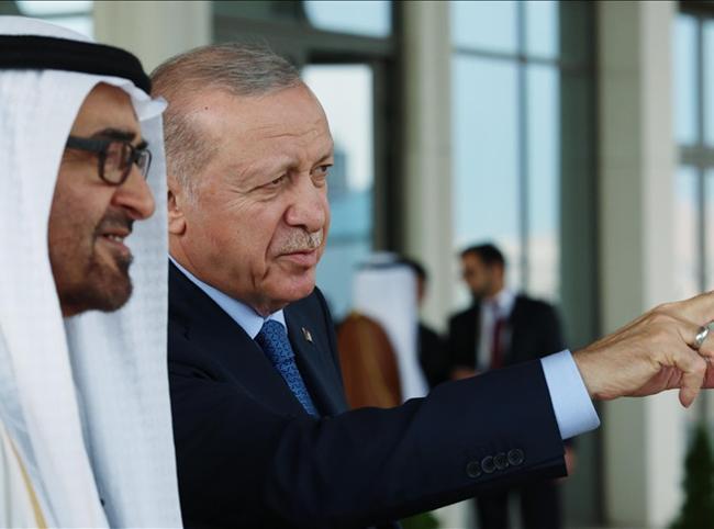 Erdoğan postpones UAE visit after president falls ill