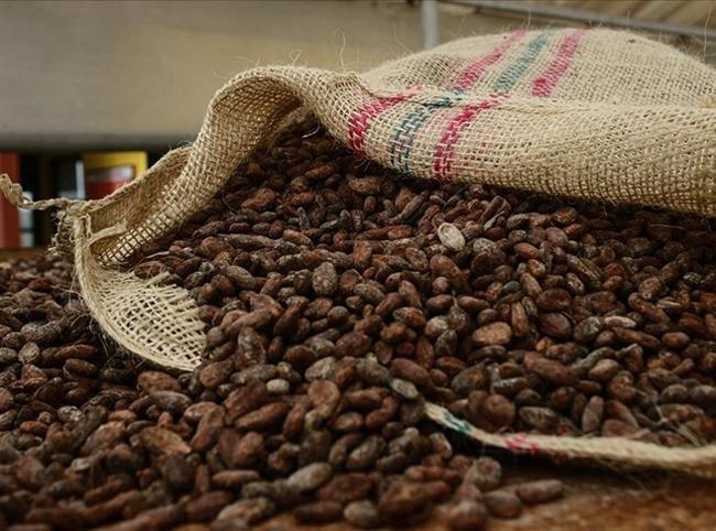 Türkiye cocoa exports hit all-time high of $1.7 billion in 2025