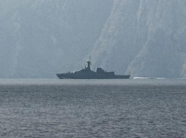 Iran Guards say waiting for US forces at Strait of Hormuz