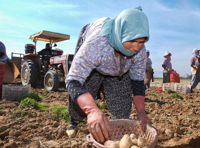 Unemployment in 2025 down to 8.3 percent, lowest in 21 years