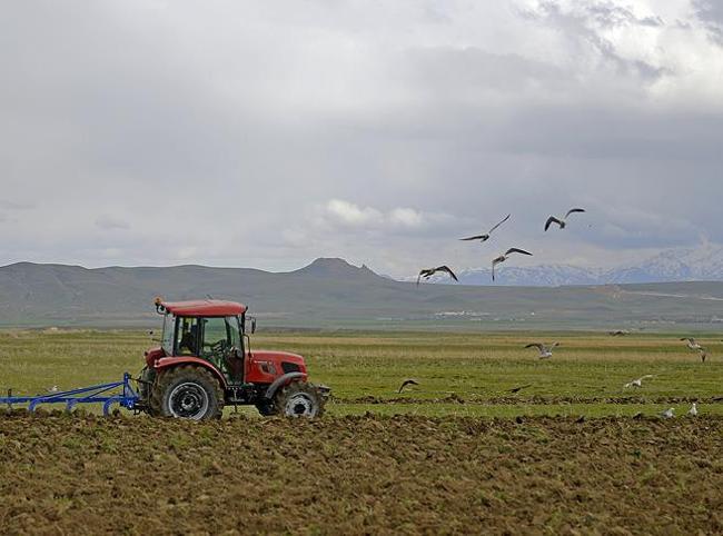 War puts Turkish farmers in a ‘low yield or high cost’ dilemma