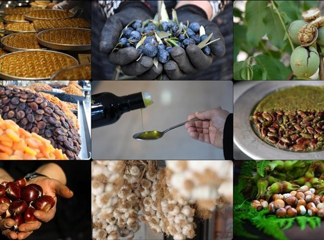 EU registration of Turkish geographical indications accelerates