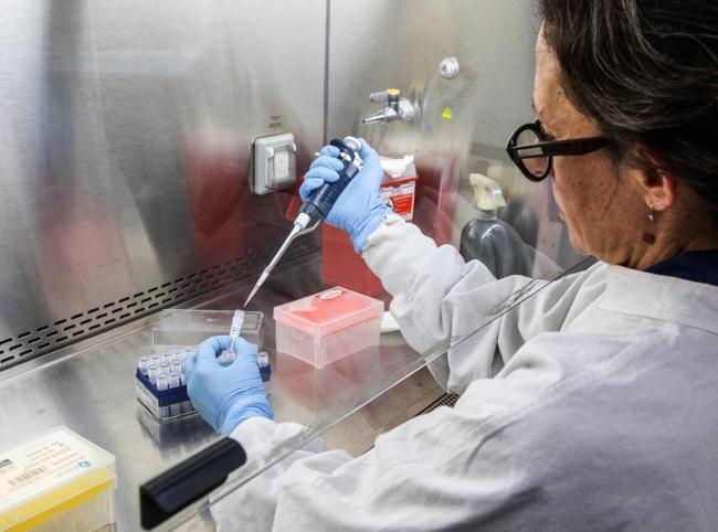 WHO warns of more hantavirus cases in limited outbreak