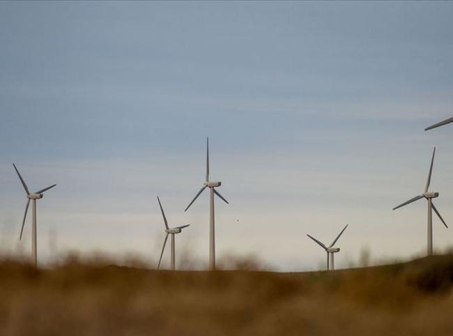 Türkiye expects stronger wind power installations this year