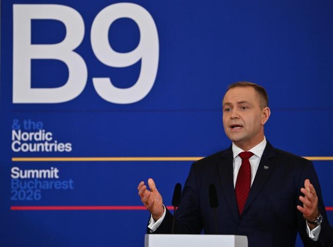 Ankara NATO summit to show alliance unity: Polish president