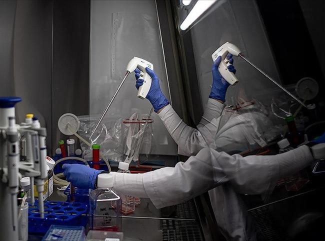 Trial offers fresh hope for patients resistant to standard cancer treatments