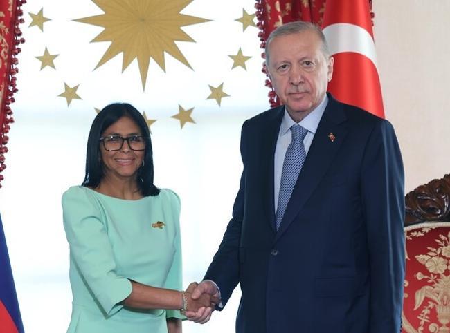 Erdoğan receives Venezuelan acting president in Istanbul