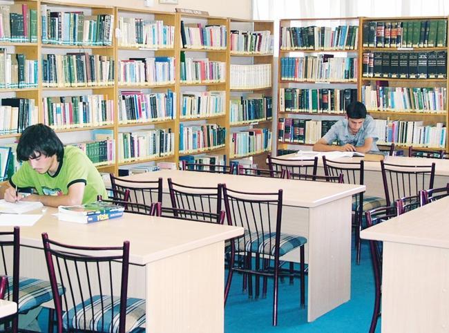Library use on rise in Türkiye: Official data