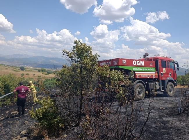 Winter rains delayed Türkiye’s wildfire season but expert warns risk persists