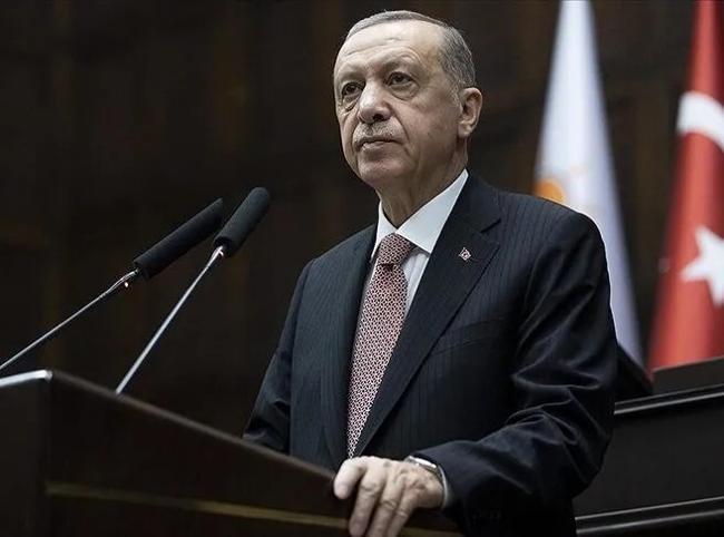 Erdoğan appoints new envoy to Council of Europe