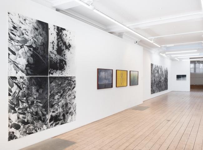 Vision Art Platform presents ‘Botanicals’ in London