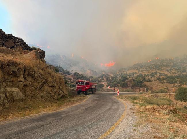 Strong winds complicate wildfire fight across western Türkiye