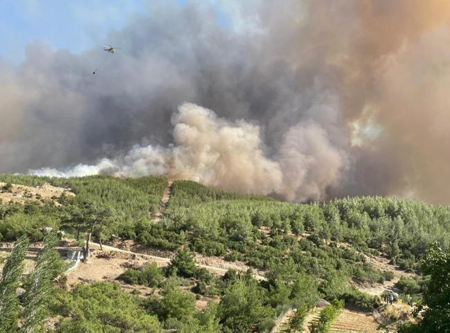 Most wildfire outbreaks under control as wind warnings persist