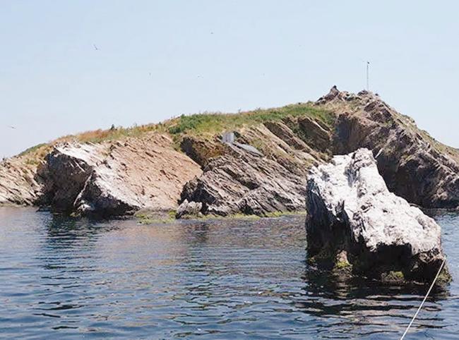 Tavşan Island’s coral model heads to COP31