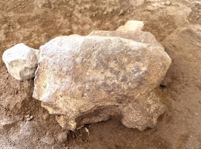 Recently dug turtle figurines expose ancient ritual heritage