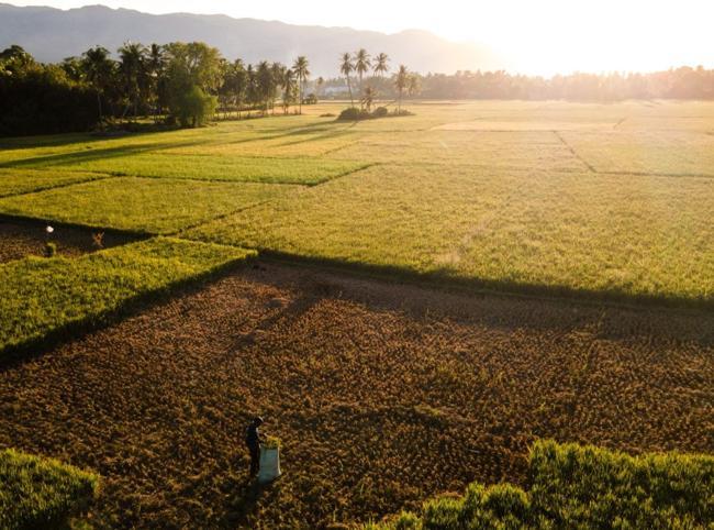 El Nino could be strongest in decades, UN warns