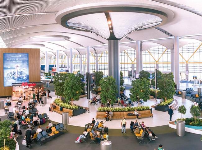 Nearly 9 tons of drugs seized at Istanbul airports in 2026