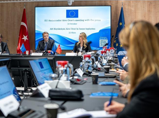 EU envoy encouraged by Ankara’s visa-free travel efforts
