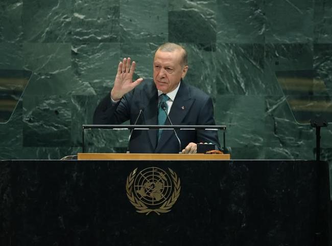 Erdoğan urges Security Council reform on UN anniversary