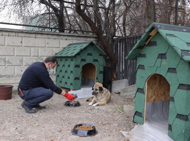 Türkiye converts food waste into animal feed in 74 provinces