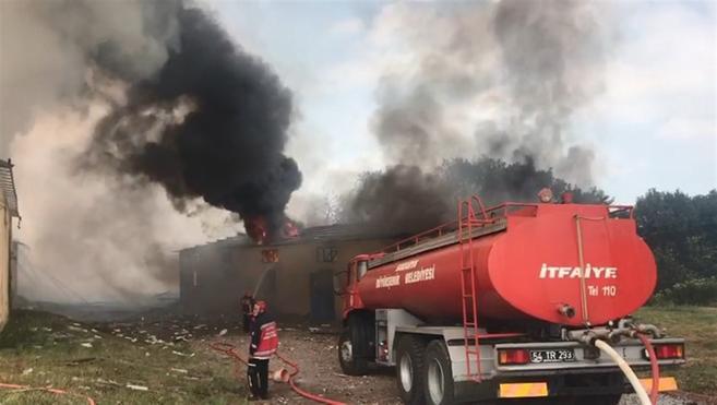 At least four dead, dozens injured after fireworks factory explosion in Sakarya
