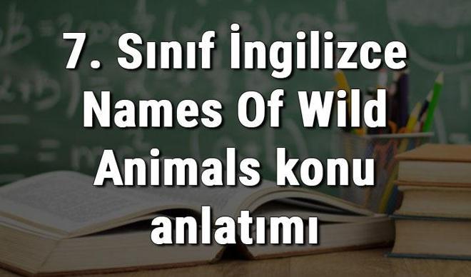 7. Sınıf İngilizce Names Of Wild Animals (Vahşi Hayvanların İsimleri) konu anlatımı