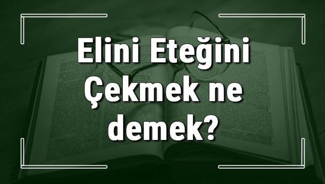 Elini Eteğini Çekmek ne demek? Elini Eteğini Çekmek deyiminin anlamı ve örnek cümle içinde kullanımı (TDK)