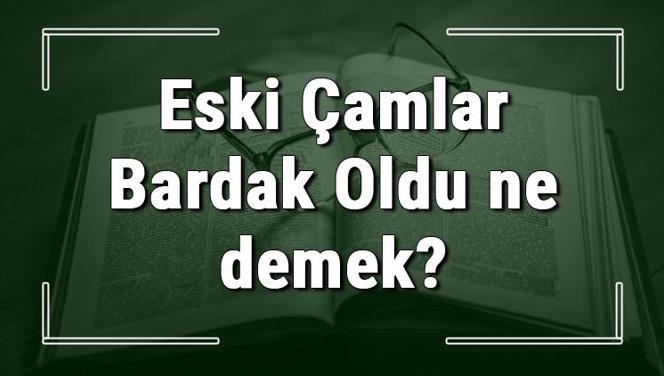 Eski Çamlar Bardak Oldu ne demek? Eski Çamlar Bardak Oldu deyiminin anlamı ve örnek cümle içinde kullanımı (TDK)