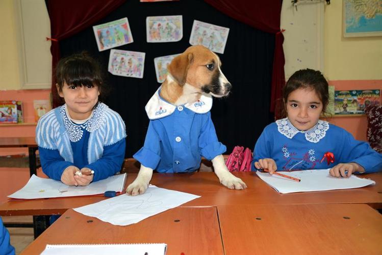 Rescued puppy attends classes in village school dressed in uniform