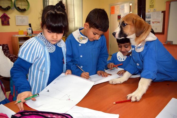 Rescued puppy attends classes in village school dressed in uniform