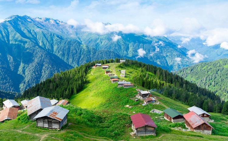 Pokut Yaylası / Rize