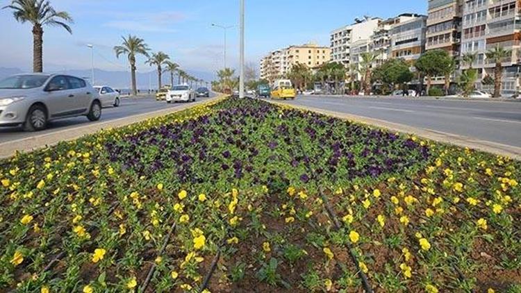 İzmire 4 milyon mevsimlik çiçek